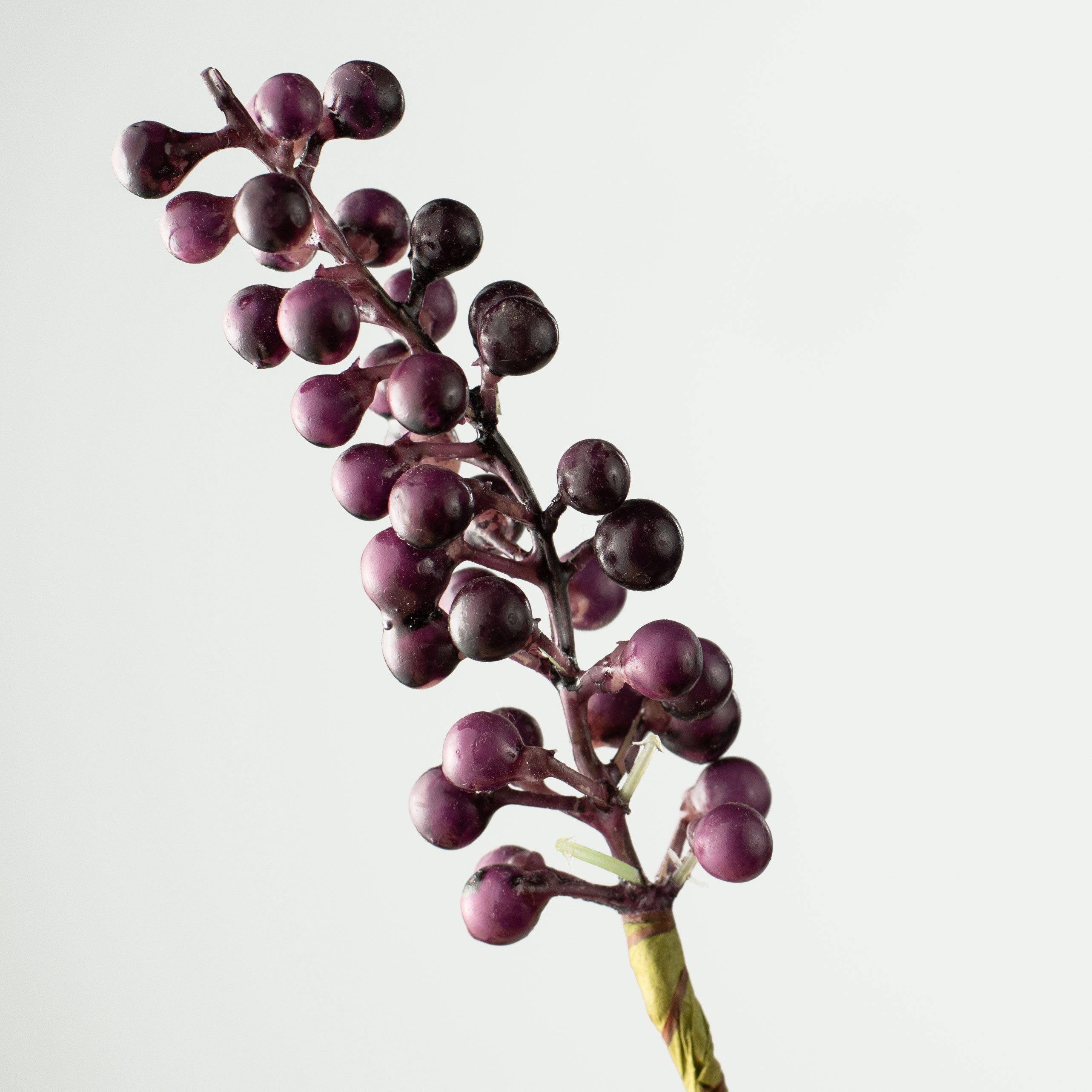 8.5'' Berry Bundle: Purple (12)