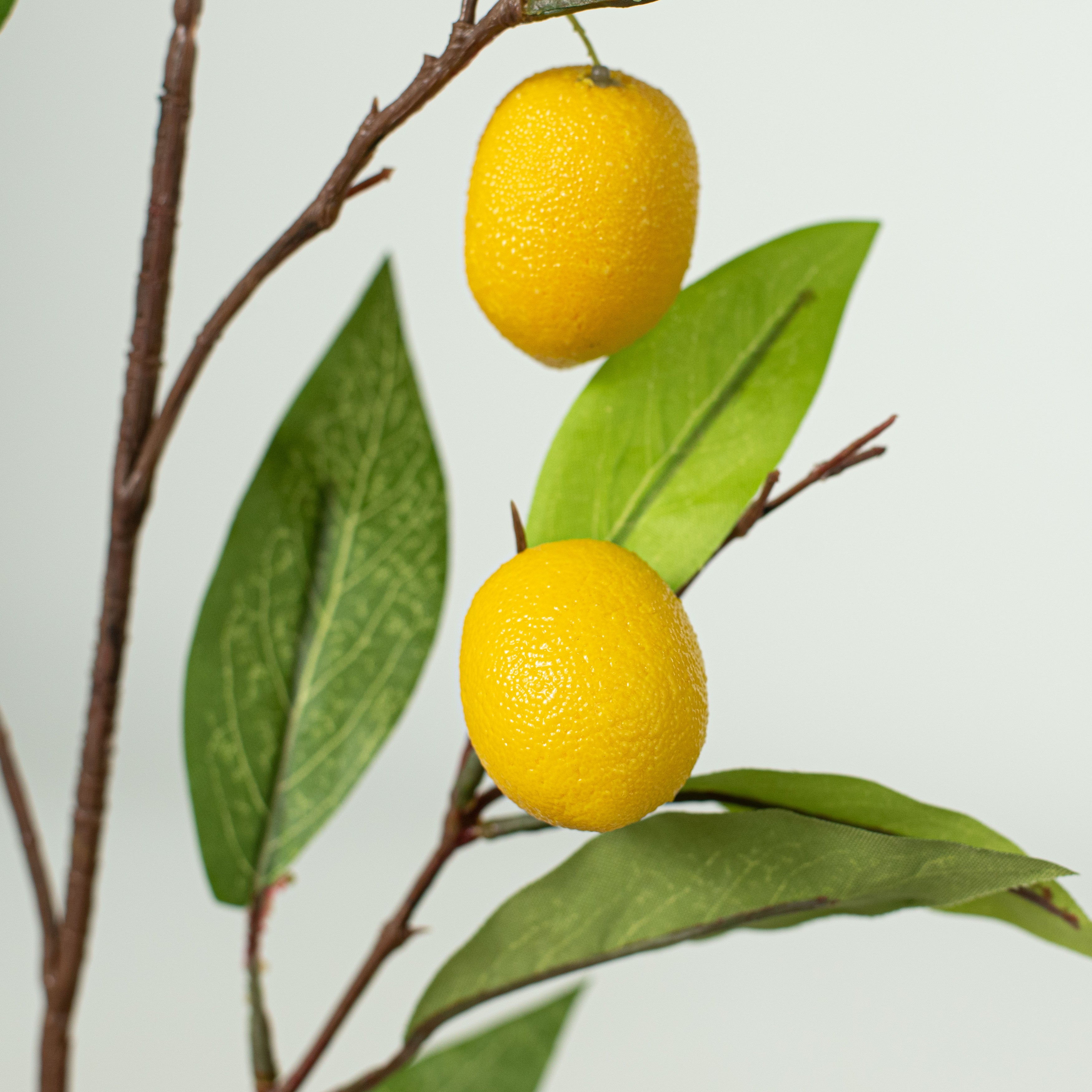 38" Lemon Branch