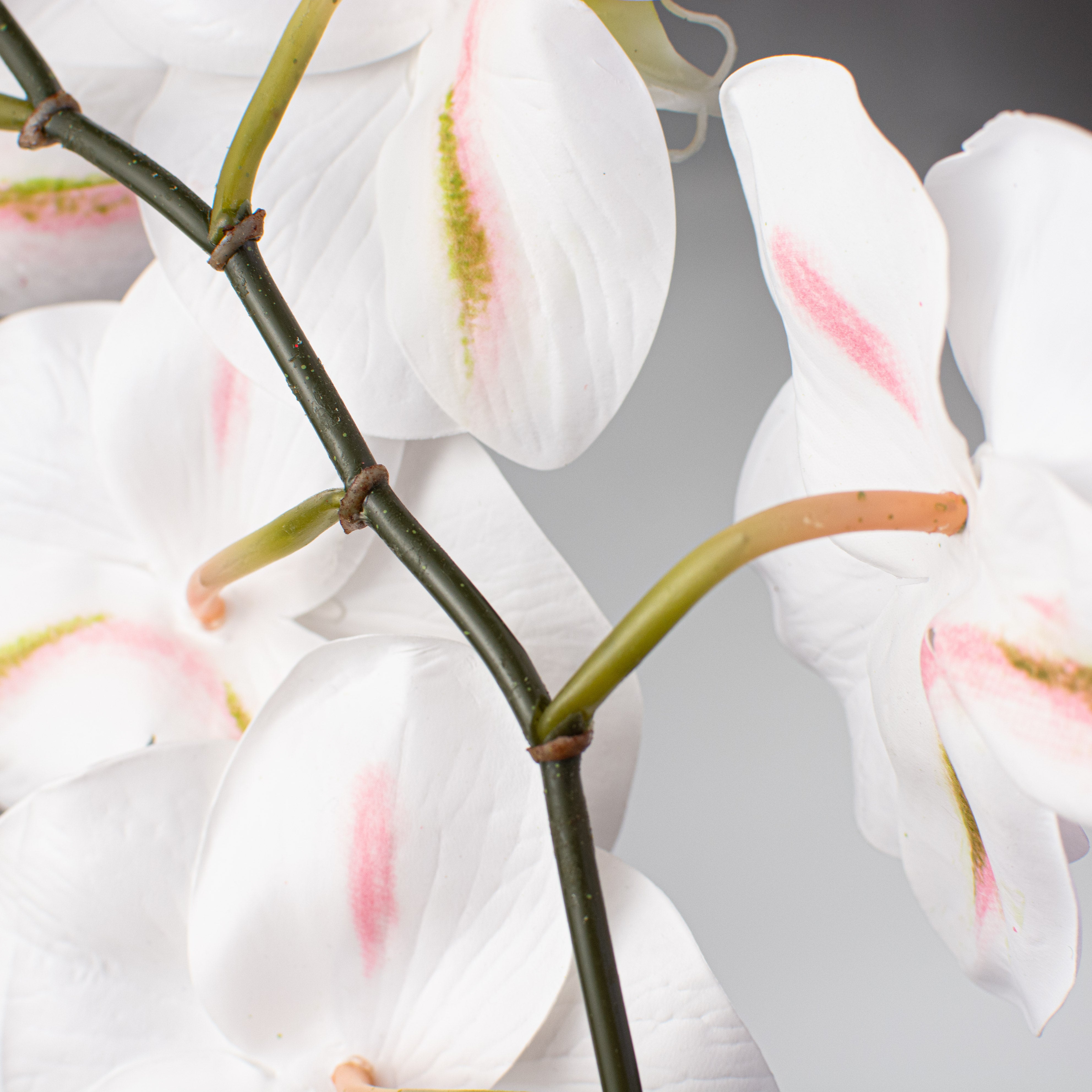 26" Phalaenopsis Orchid Stem: White