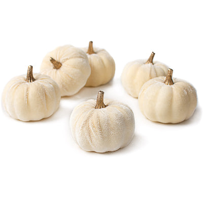 3" Velvet Pumpkins: Cream (Set of 6)