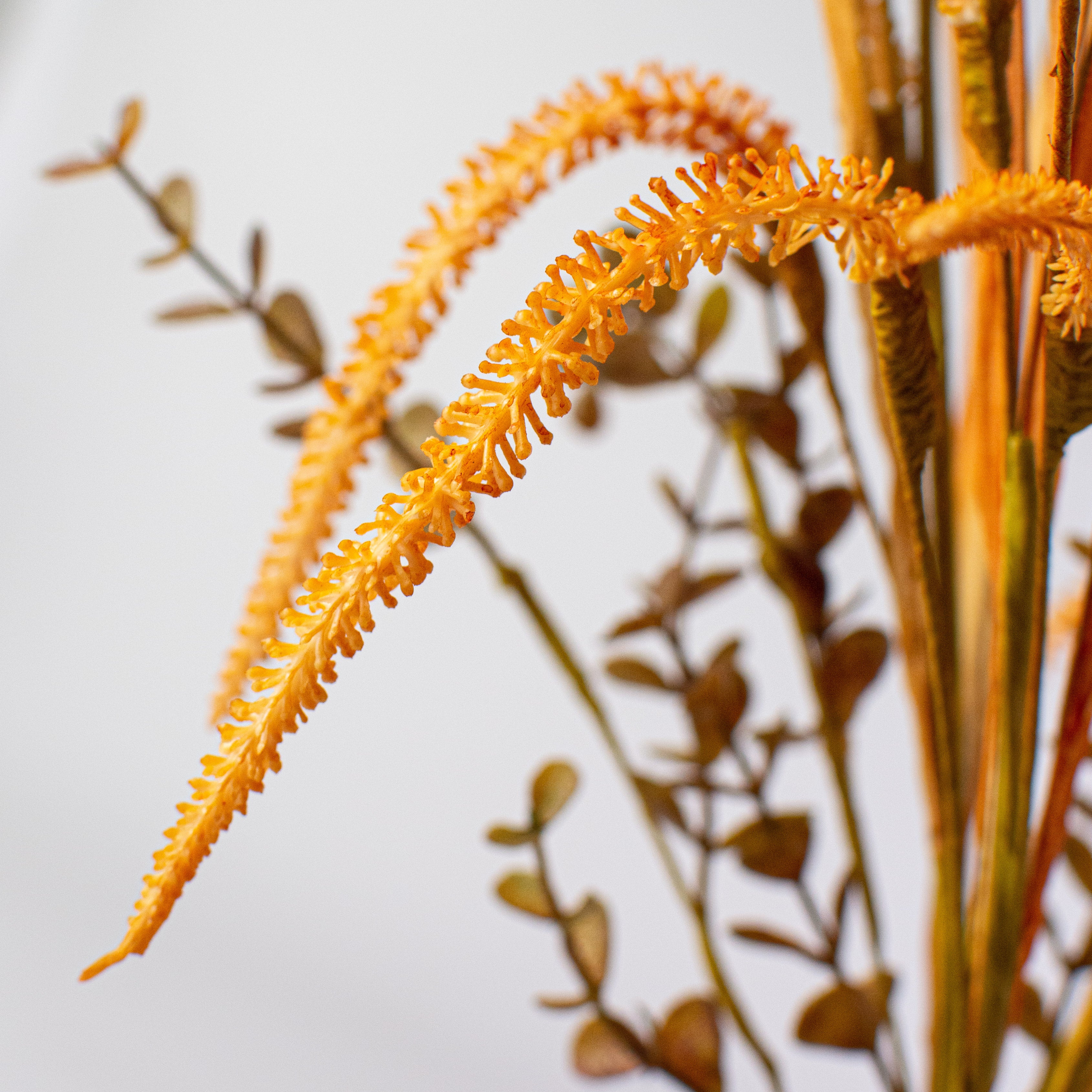 21" Foxtail, Eucalyptus, Grasses Bush: Orange