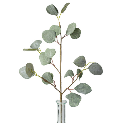 19" Silver Dollar Eucalyptus Pick