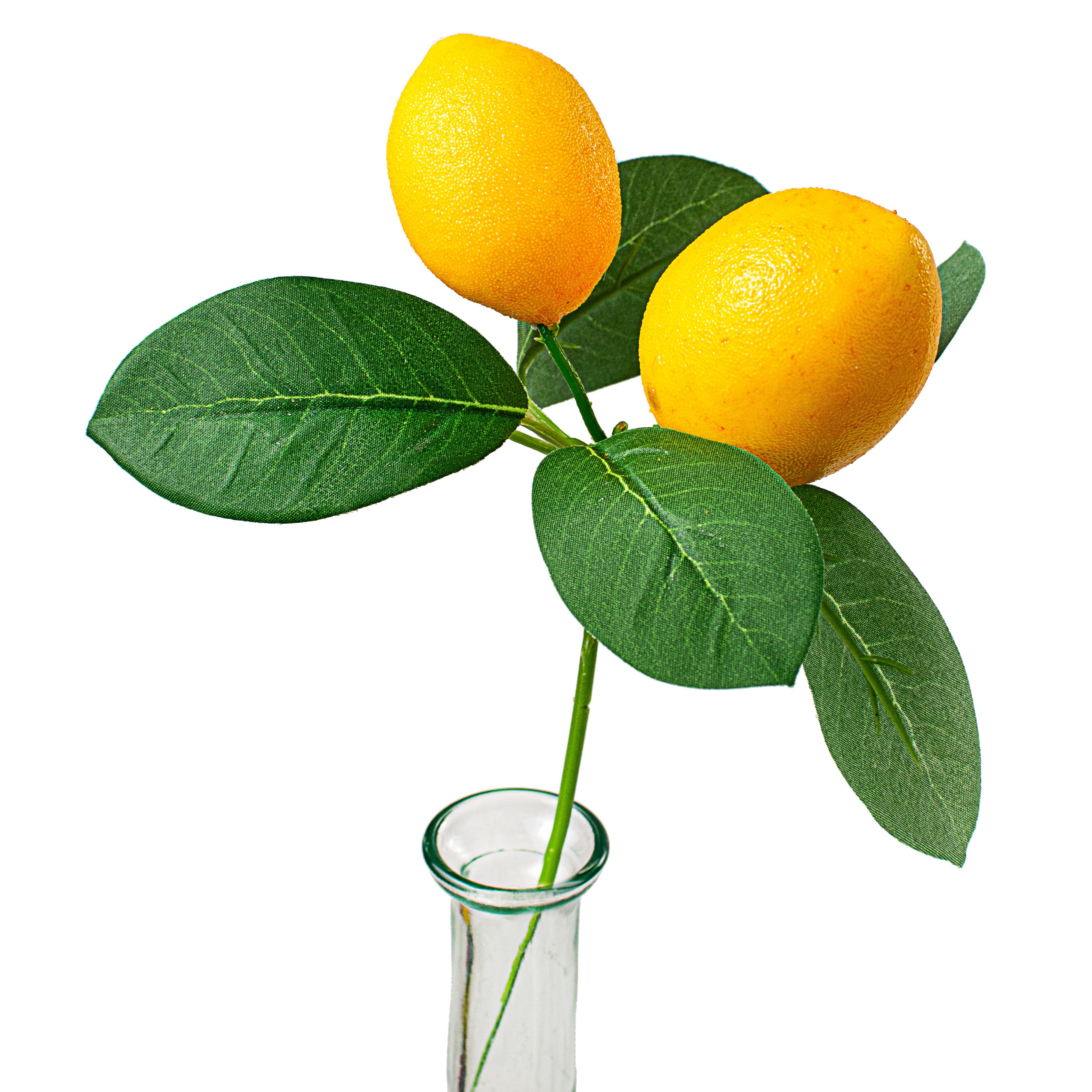 9" Lemon & Leaves Pick