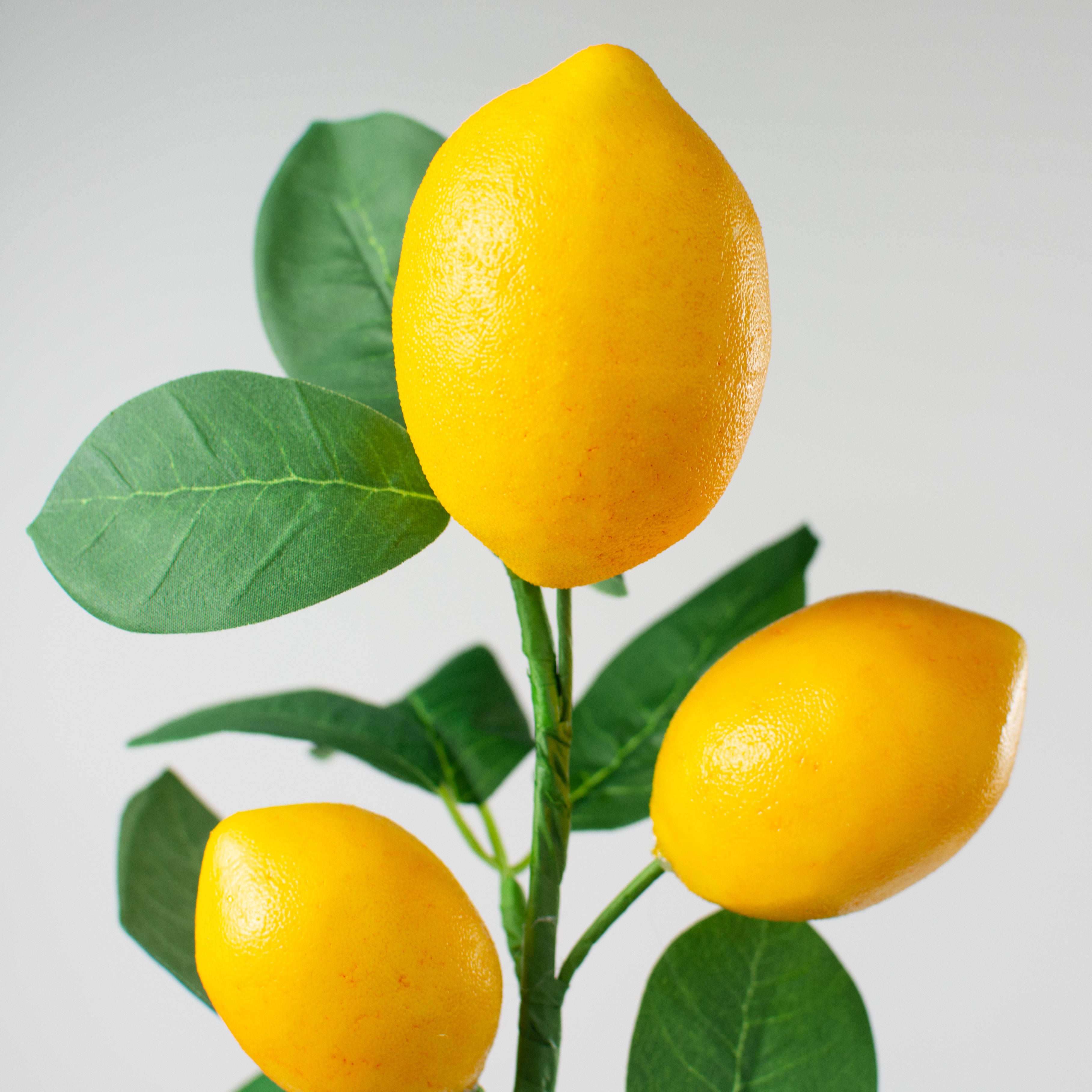 16" Lemon & Leaves Pick