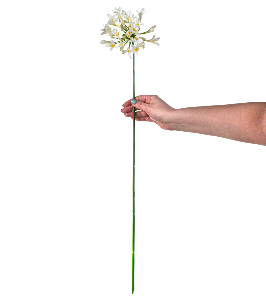 29" Agapanthus Flower Stem: White