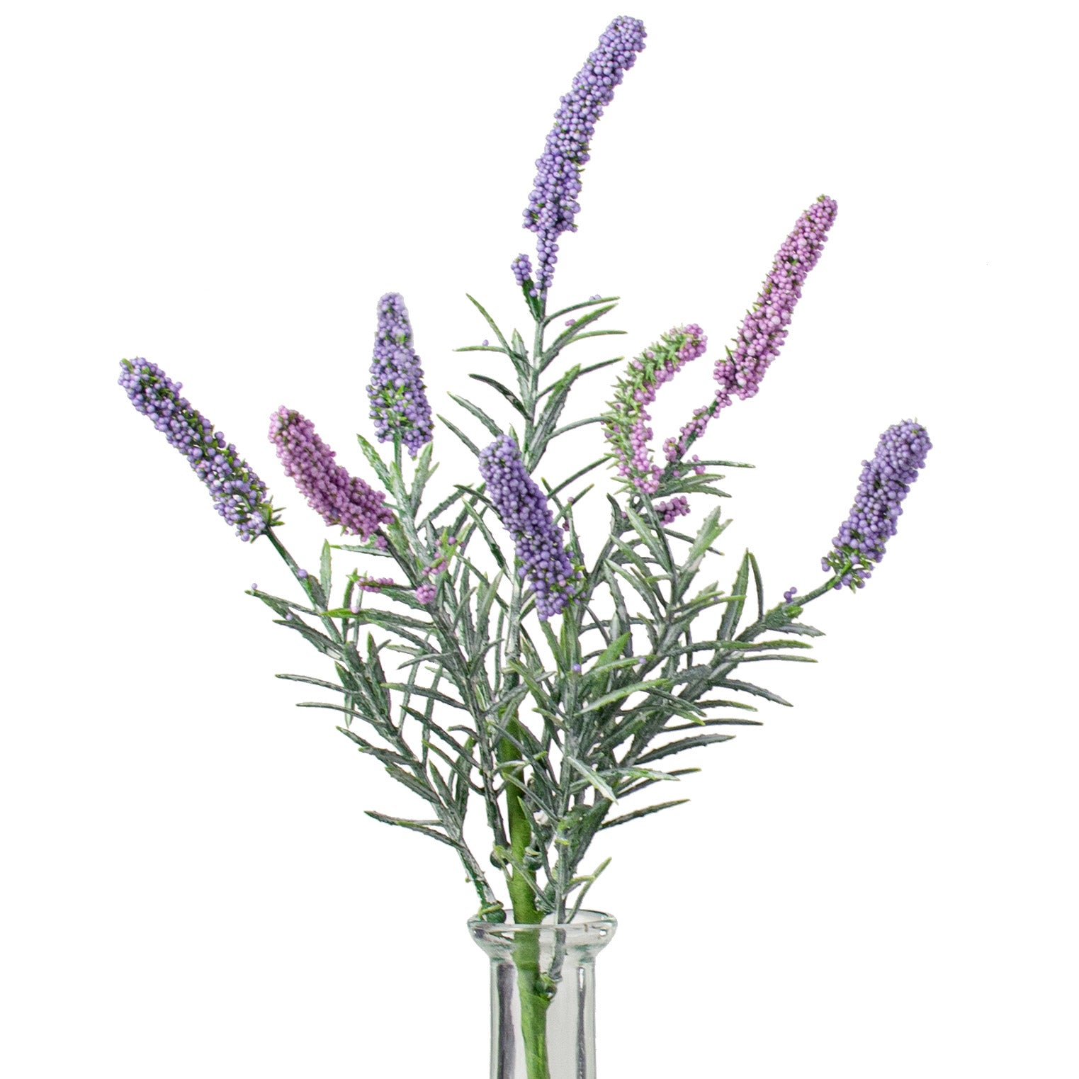 12" Heather Bush: Lavender
