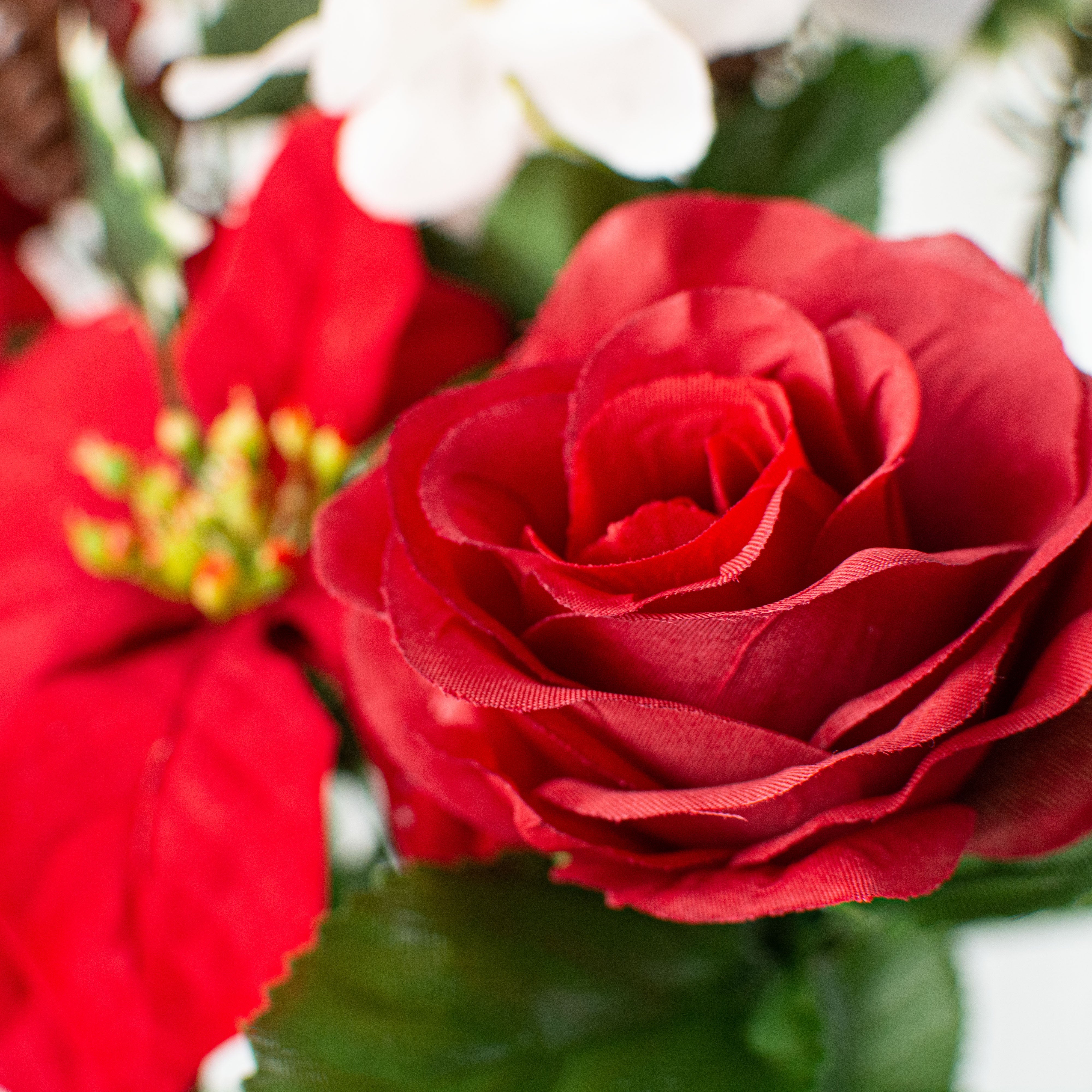 16" Poinsettia Rose Pine Bush: Red & White