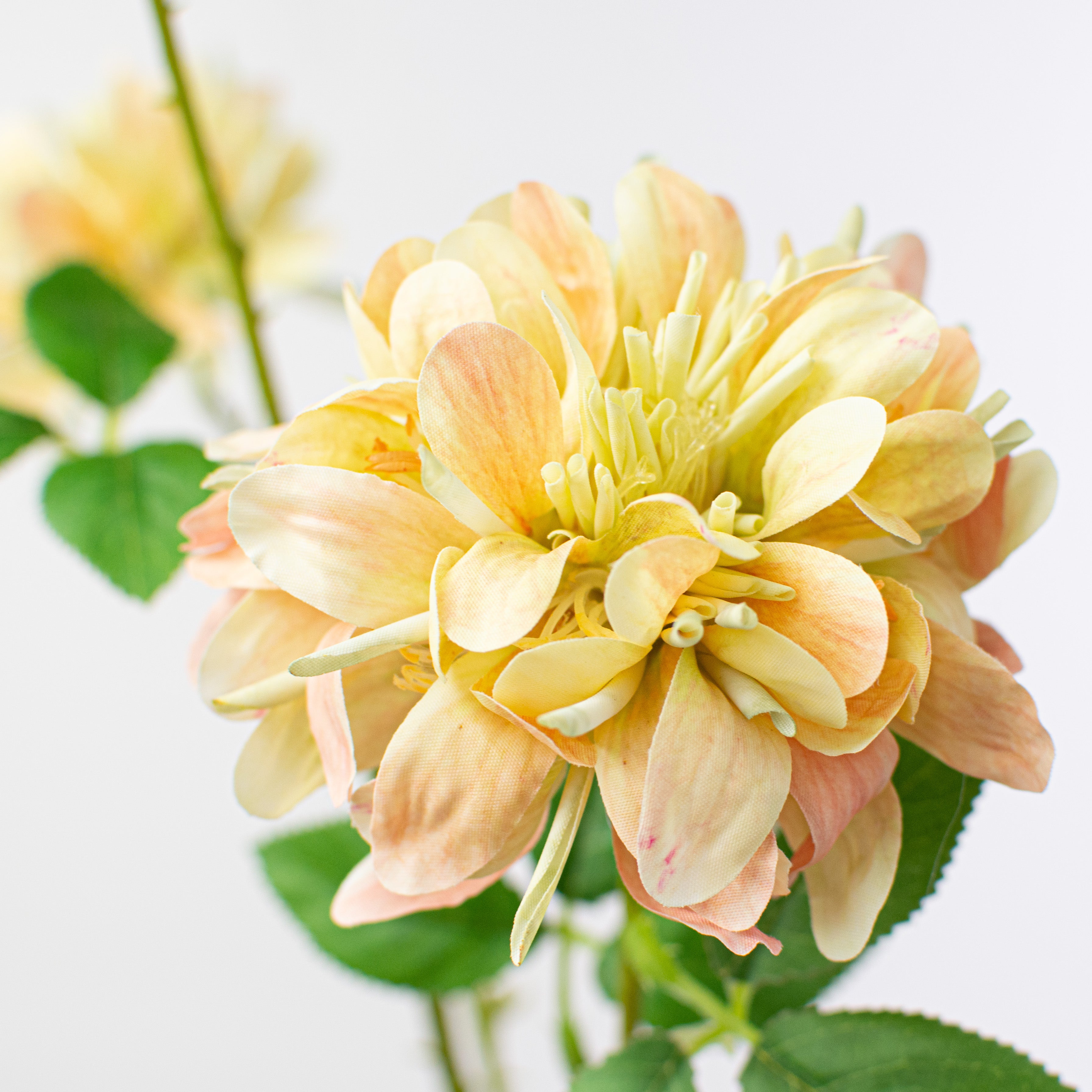 28" Chrysanthemum Spray: Cream & Pink