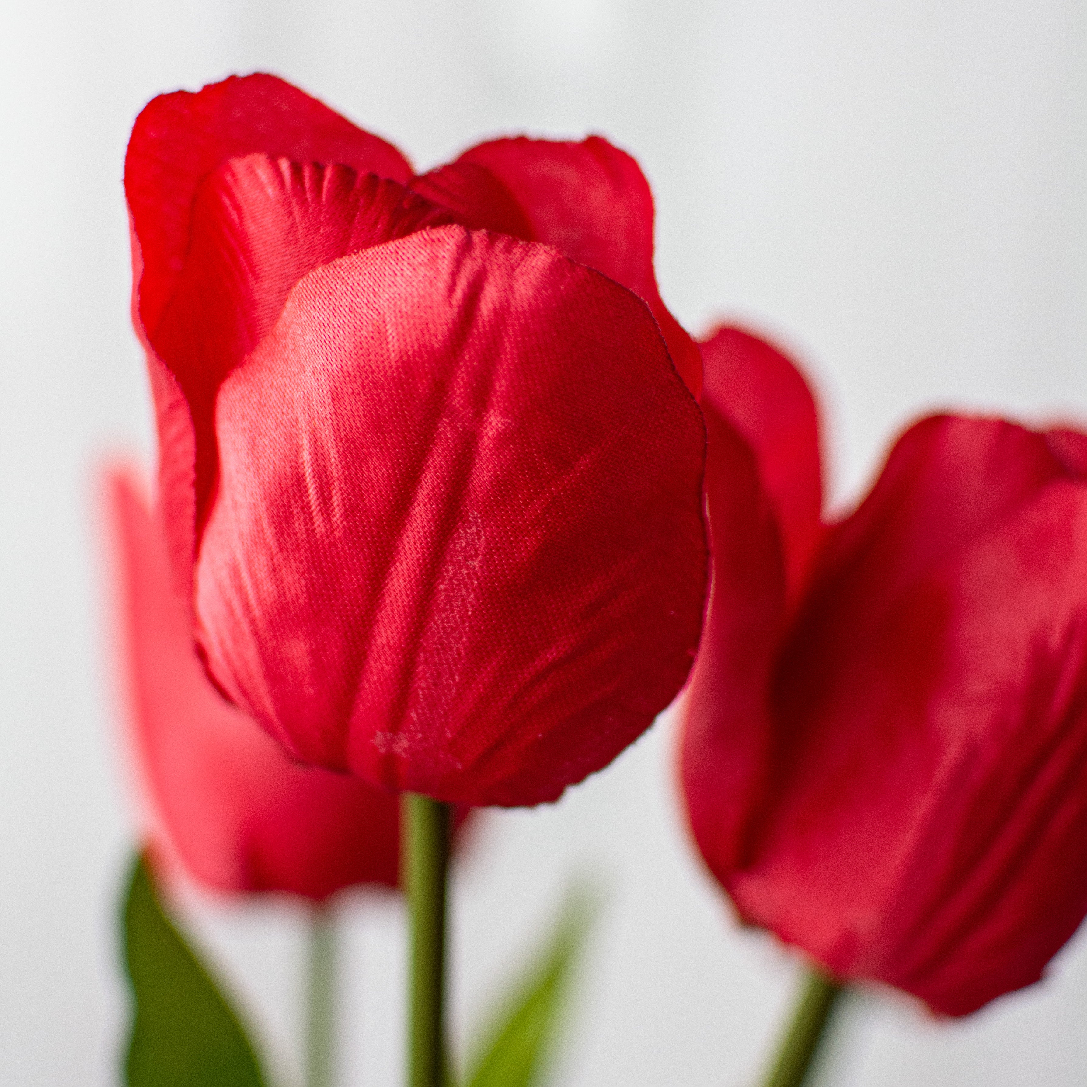 17" Tulips Bush: Red
