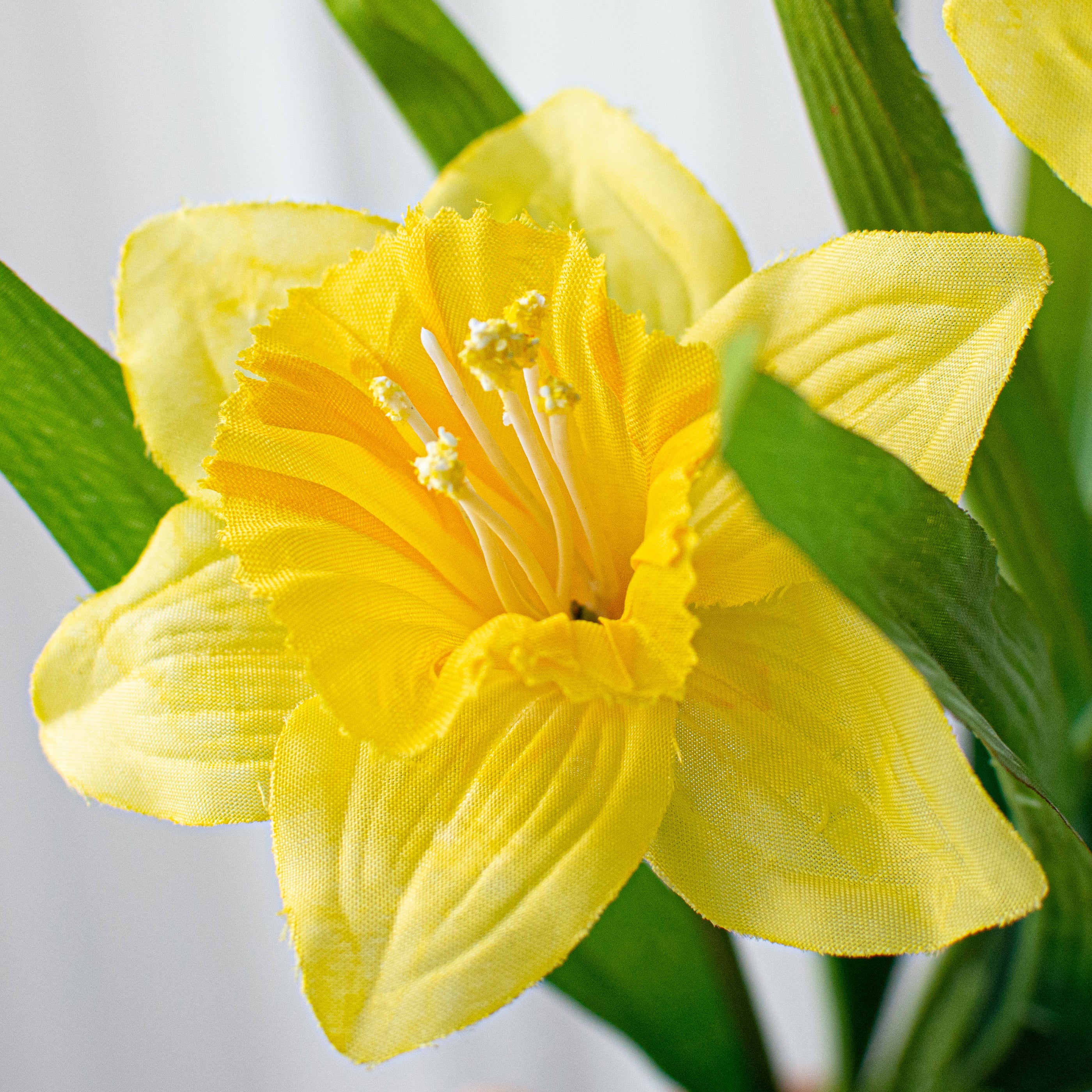 17" Daffodil Bush: Yellow