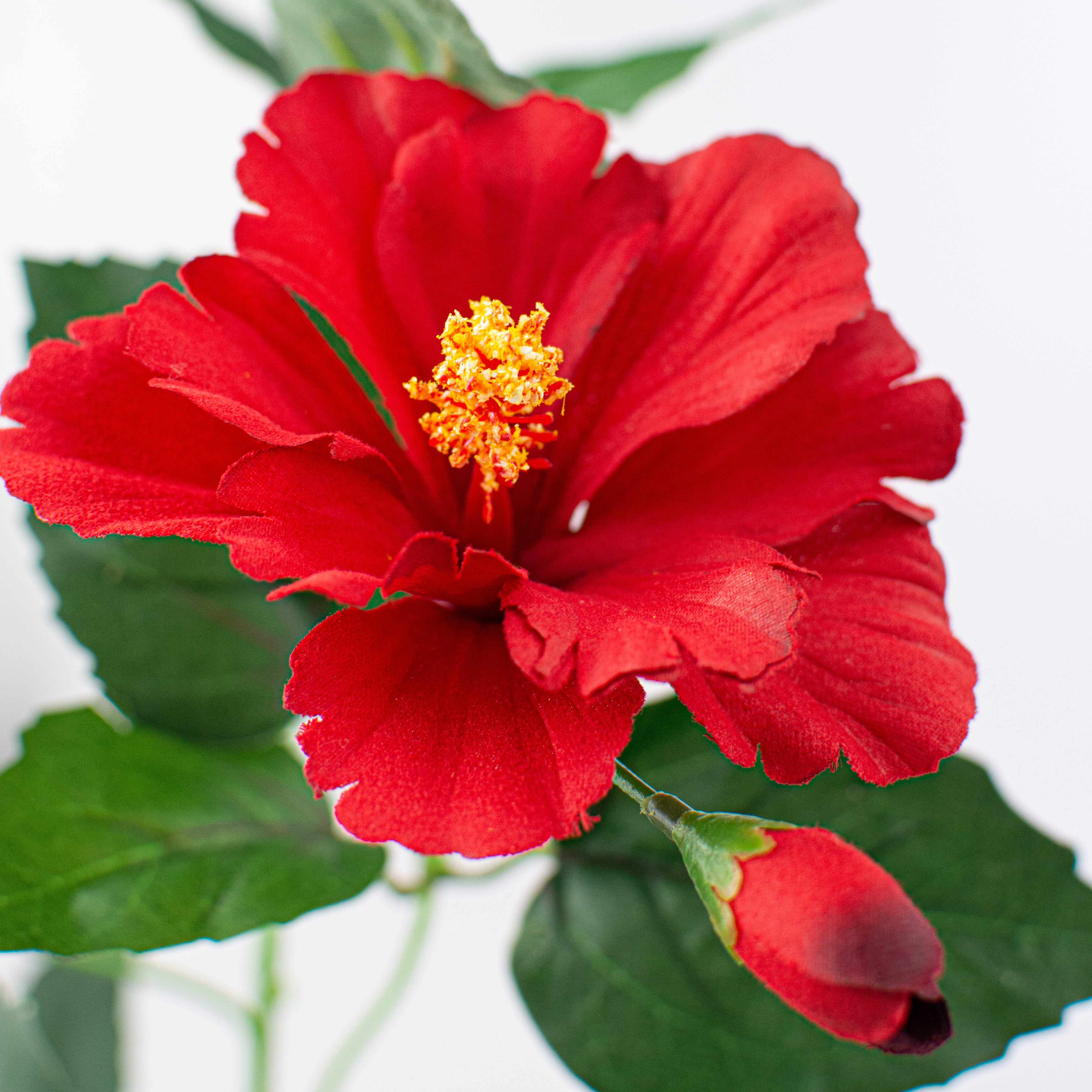 28" Hibiscus Spray: Red