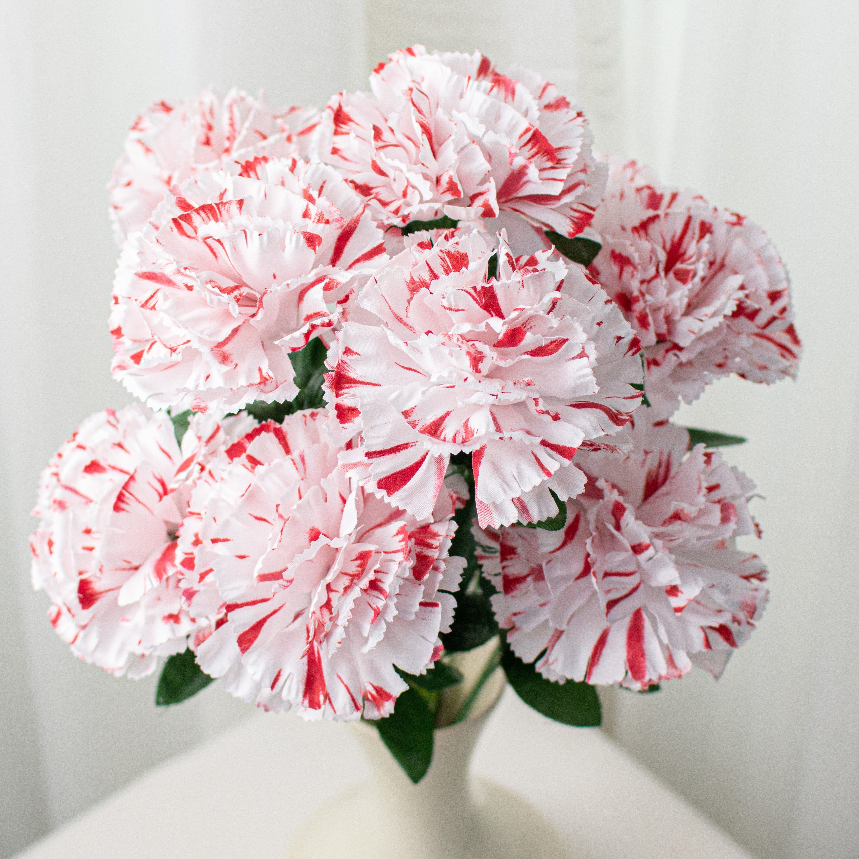 20" Colorfast Carnation Bush: Peppermint