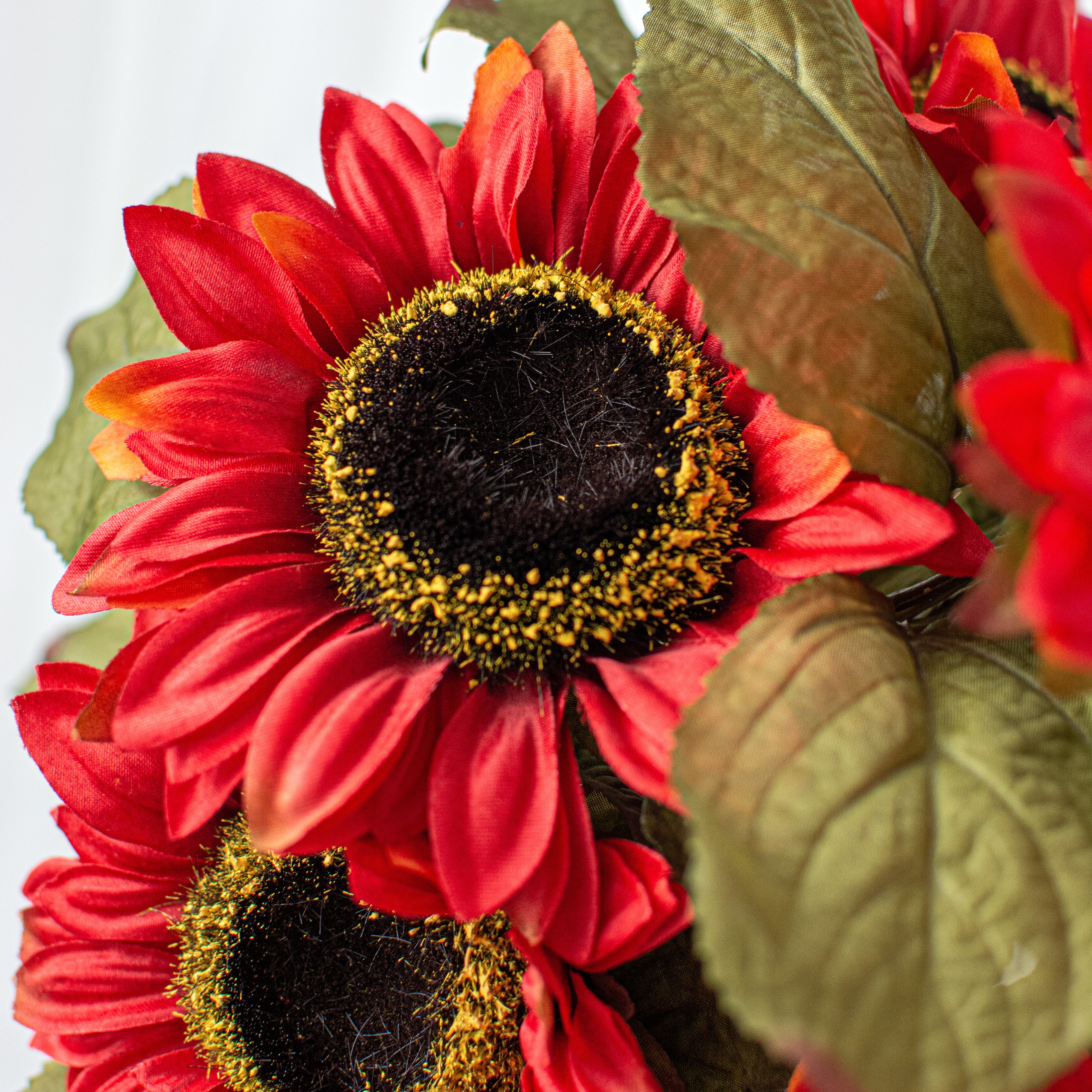 Colorfast Sunflower Bush: Red Orange (7 Stem)