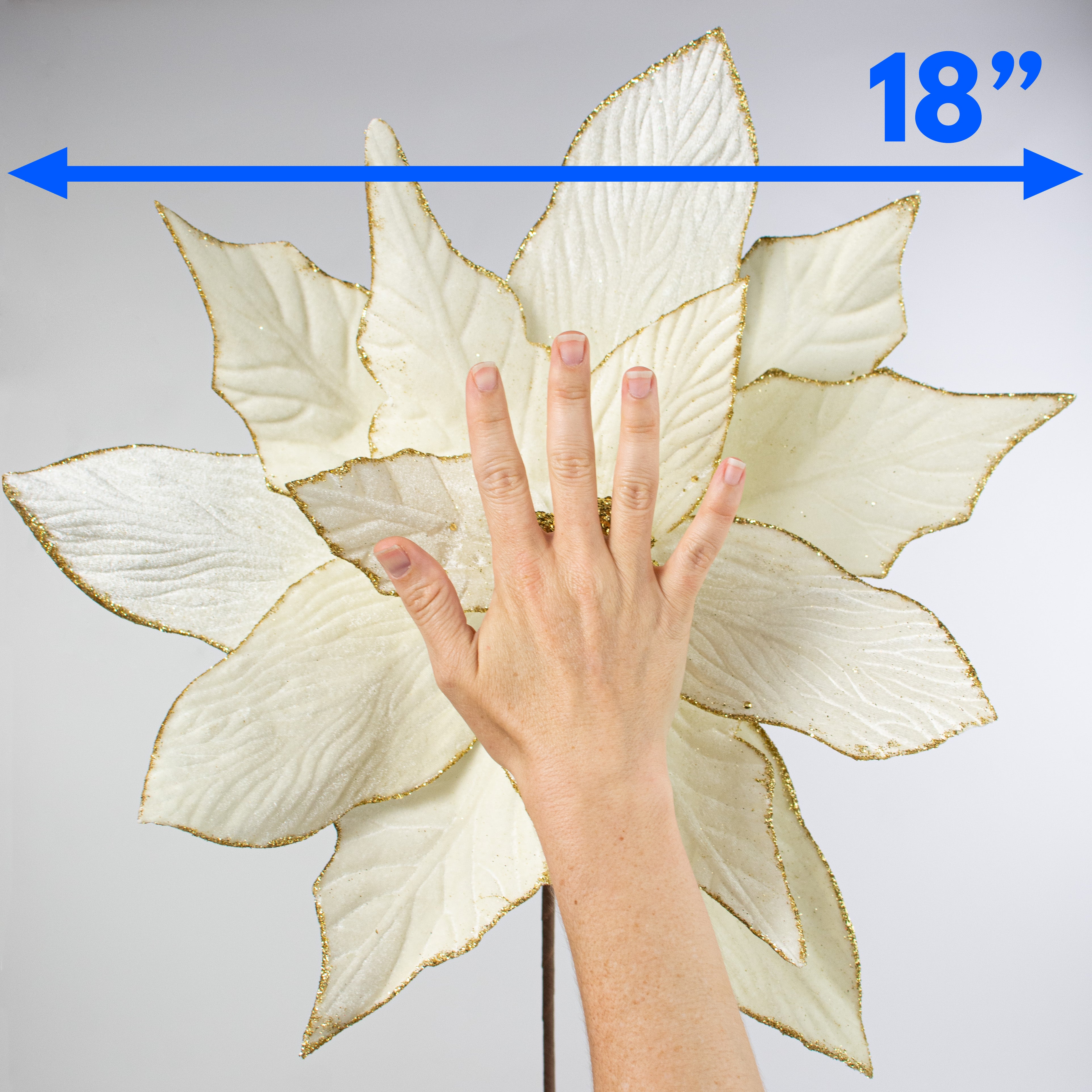 24" Jumbo Poinsettia Stem: Cream