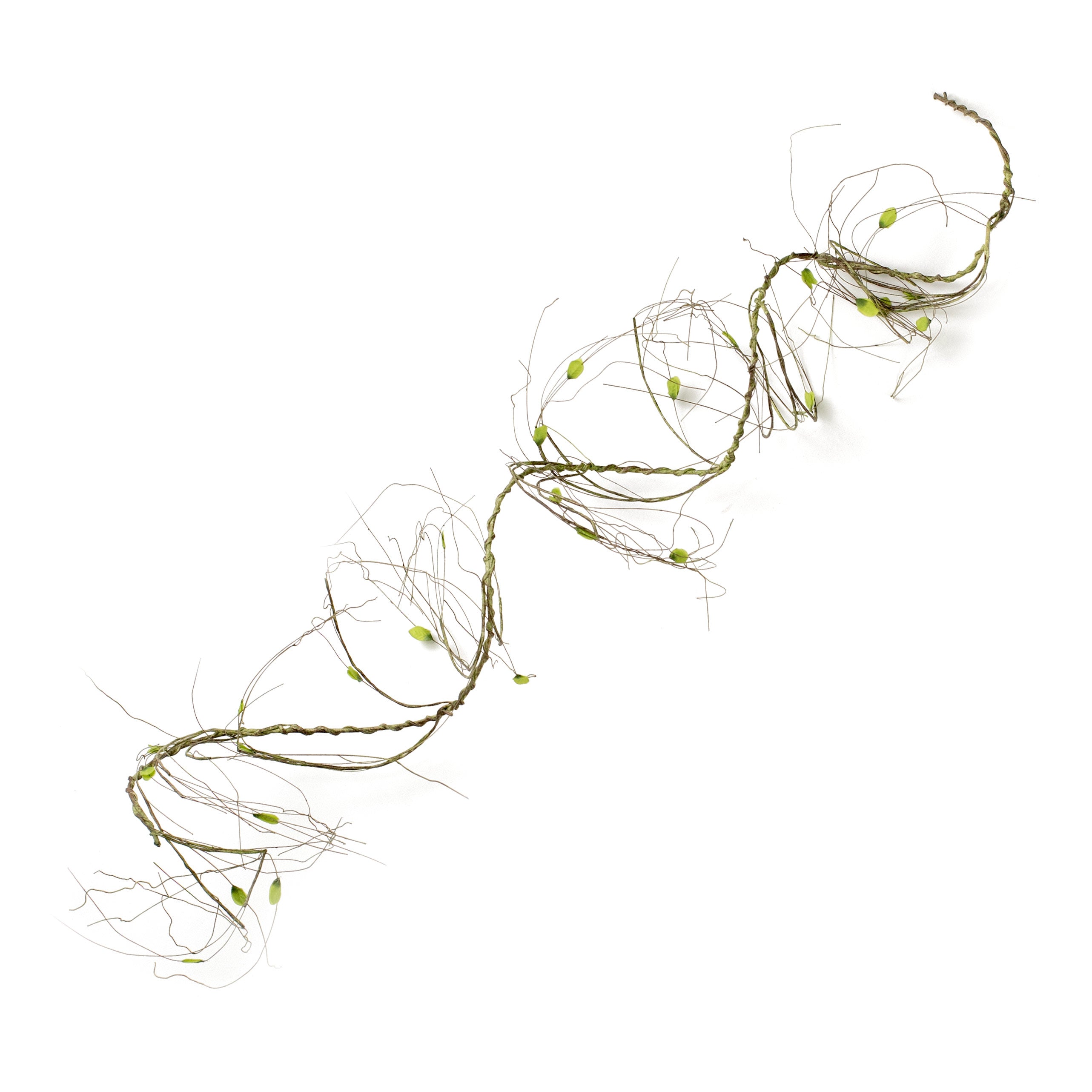 52" Twig Vine with Leaves Garland