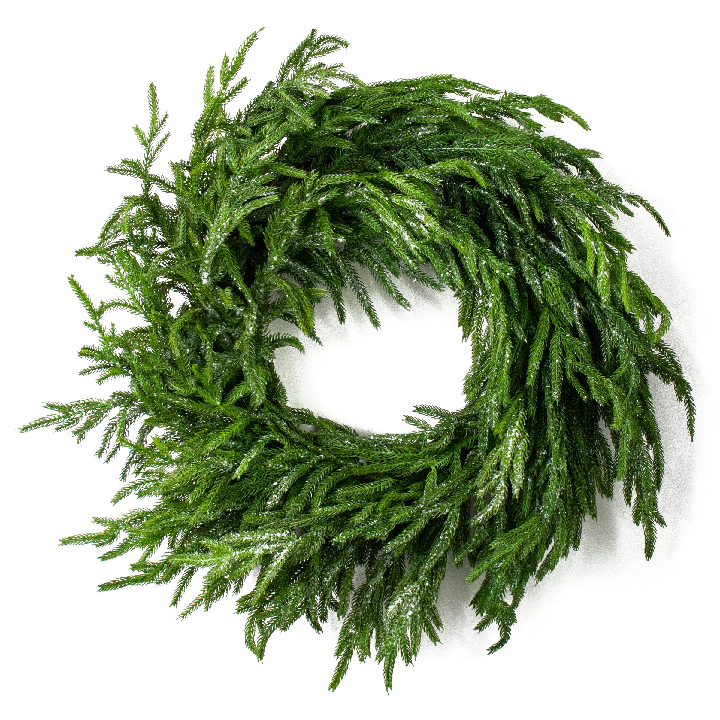 24" Frosted Fir Pine Wreath