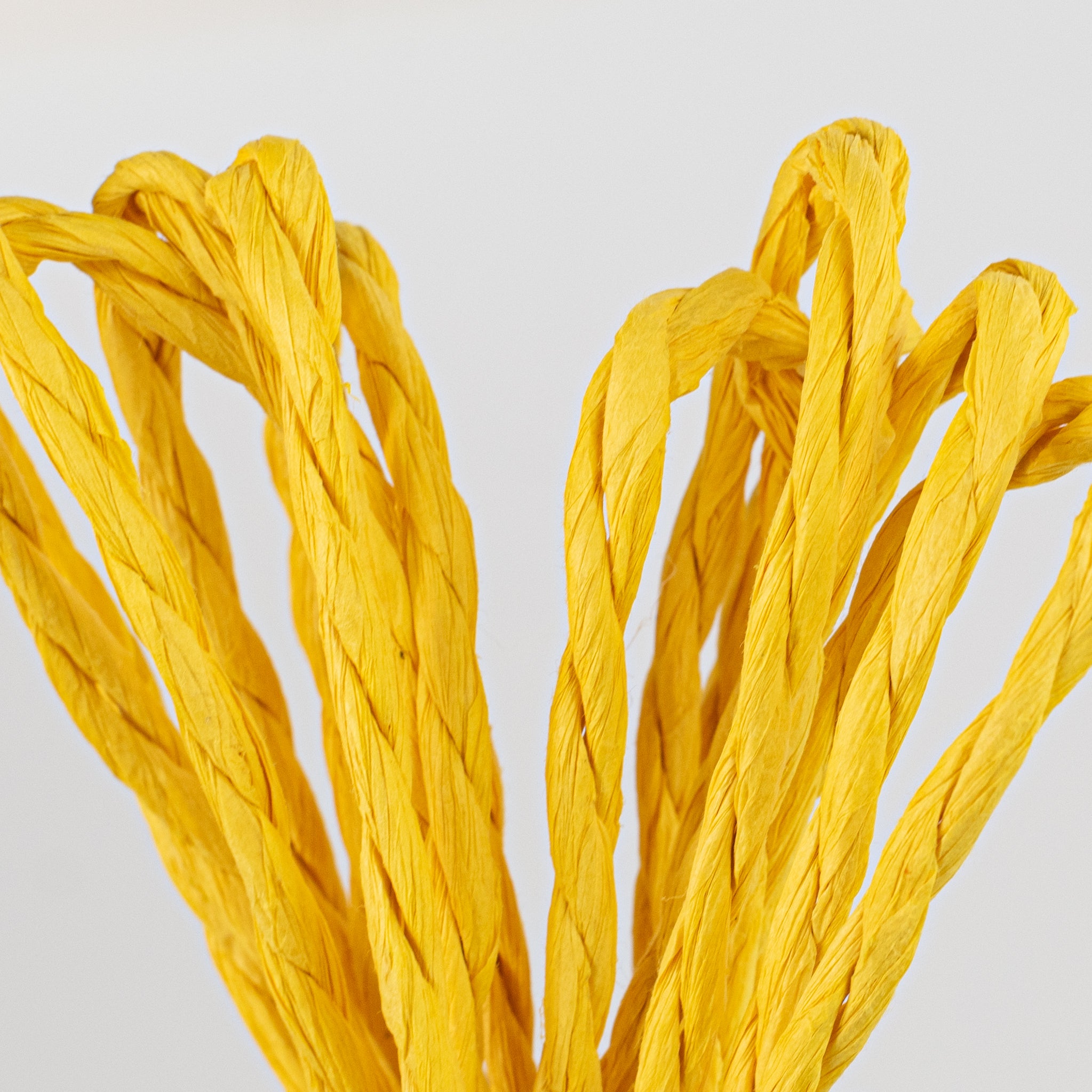 16' Paper Rope Bundle: Yellow