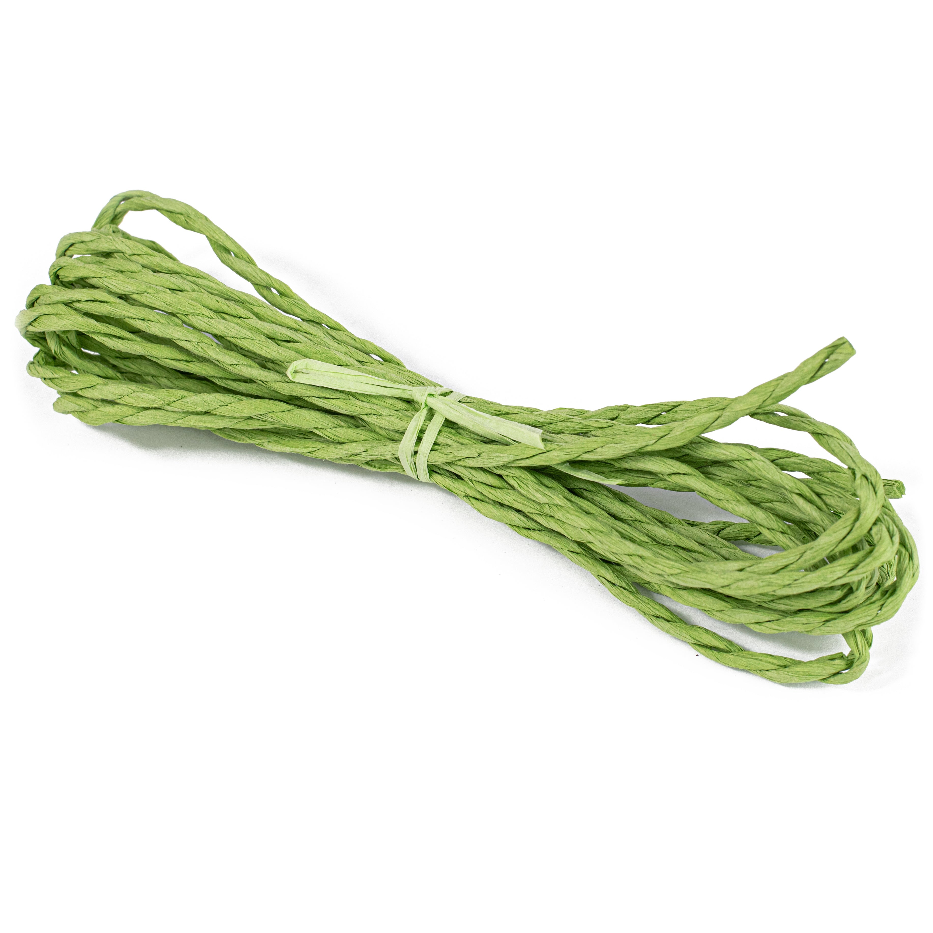 16' Paper Rope Bundle: Fresh Green
