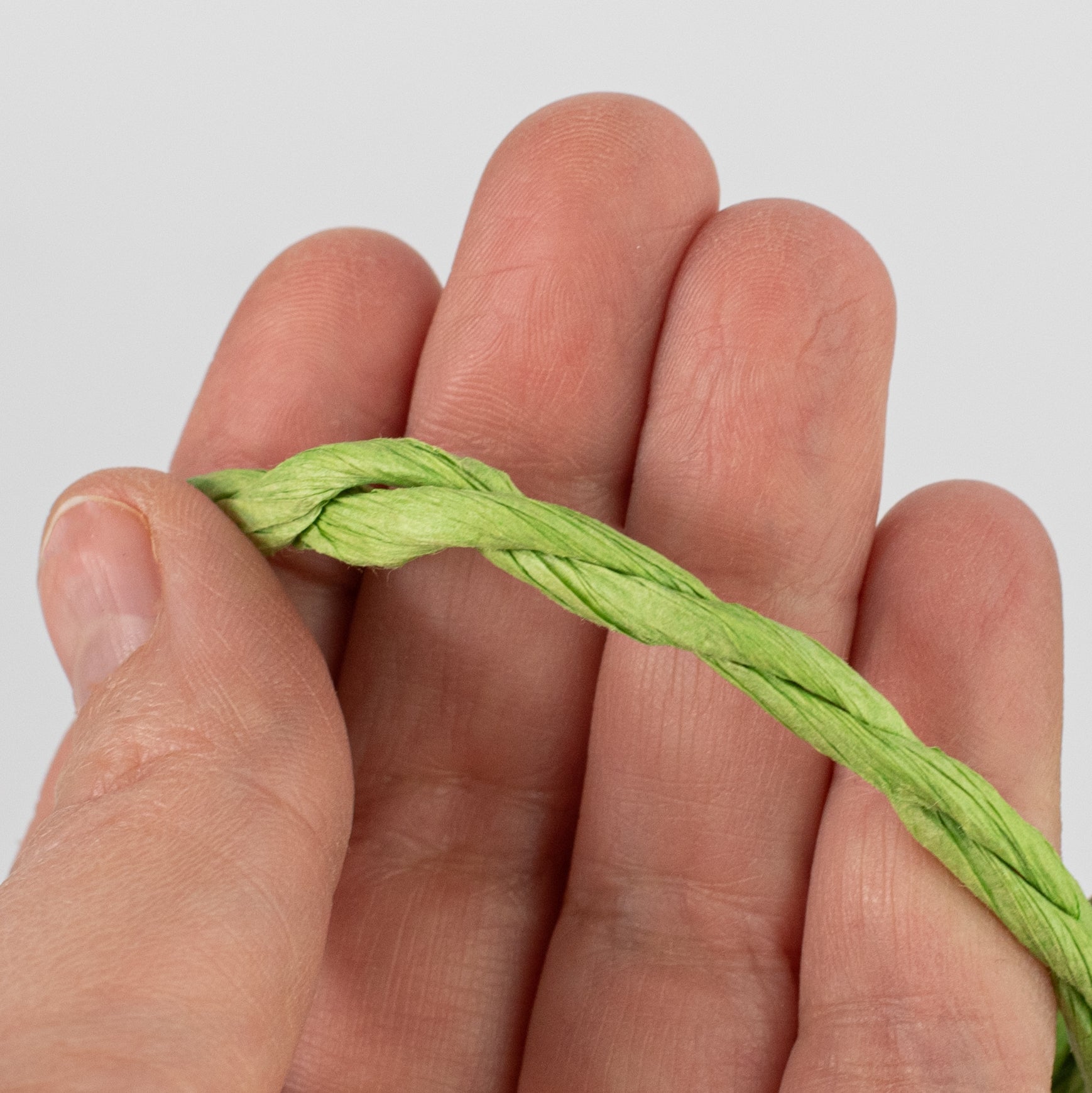 16' Paper Rope Bundle: Fresh Green