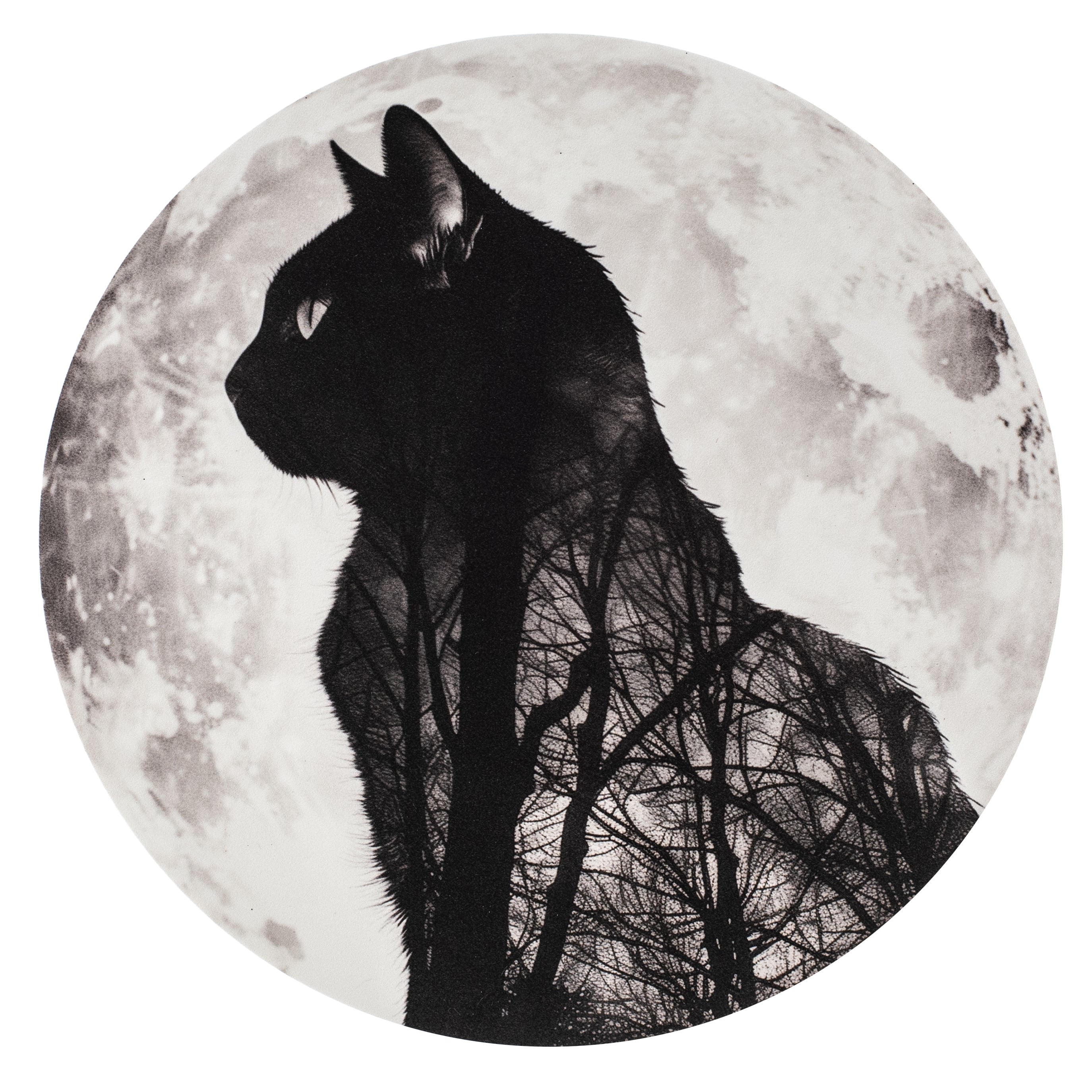 10.5" Round Waterproof Sign: Black Cat Moon