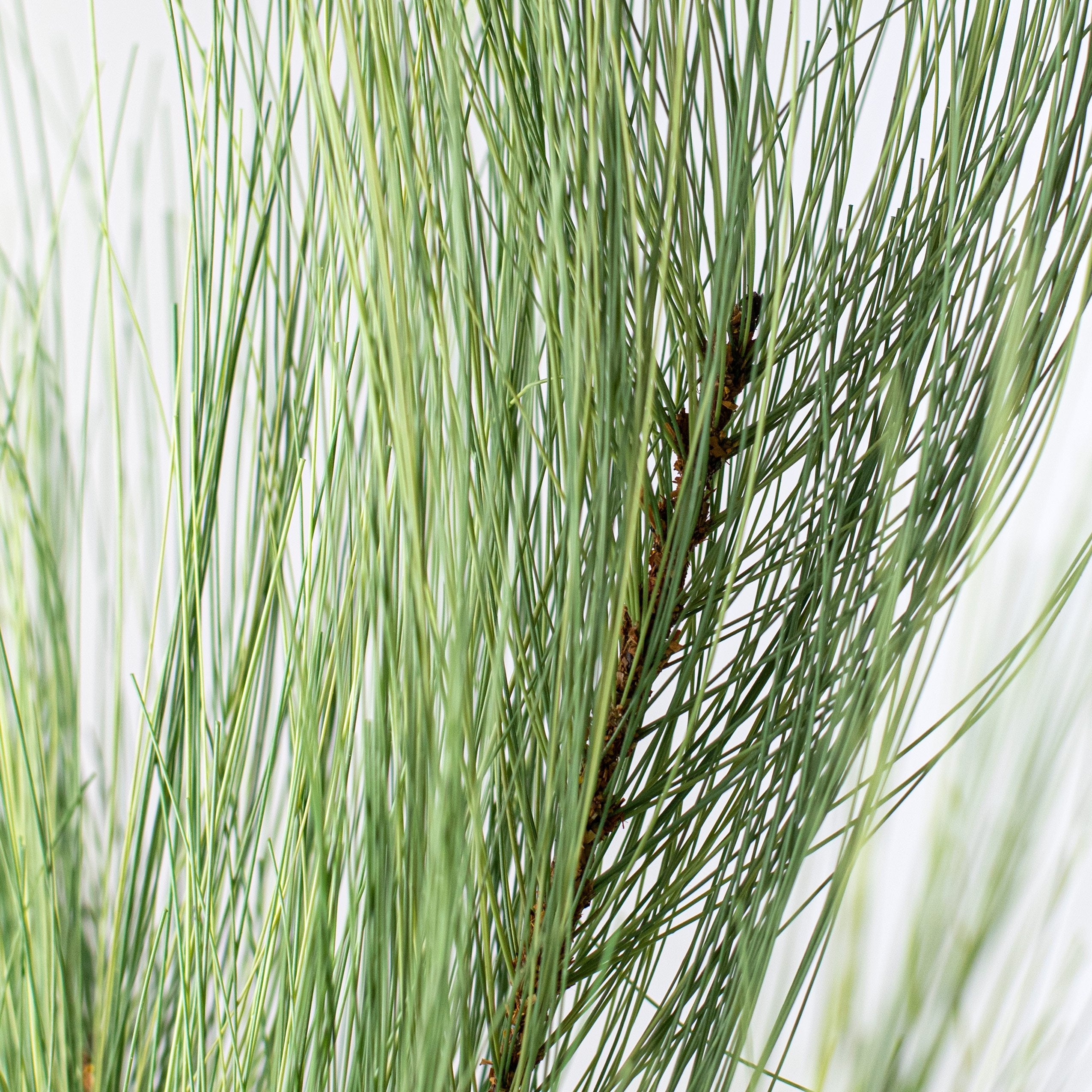 27" Pine Spray: Natural Green